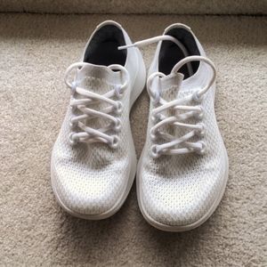 All birds woman’s tree dashers